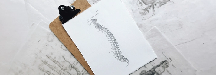 Chiropractic Downey CA Spine Sketch